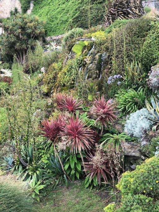 *Stunning* The Botanist Rest Ventnor Iow Villa Exterior photo